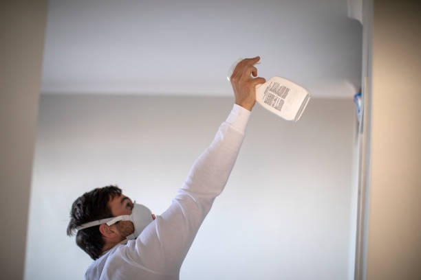 Best Certified Mold Removal  in David City, NE